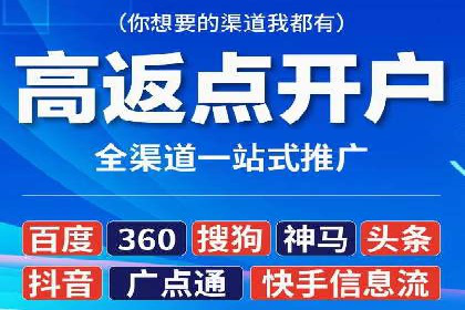 某电商平台的SEM广告投放策略及效果评估